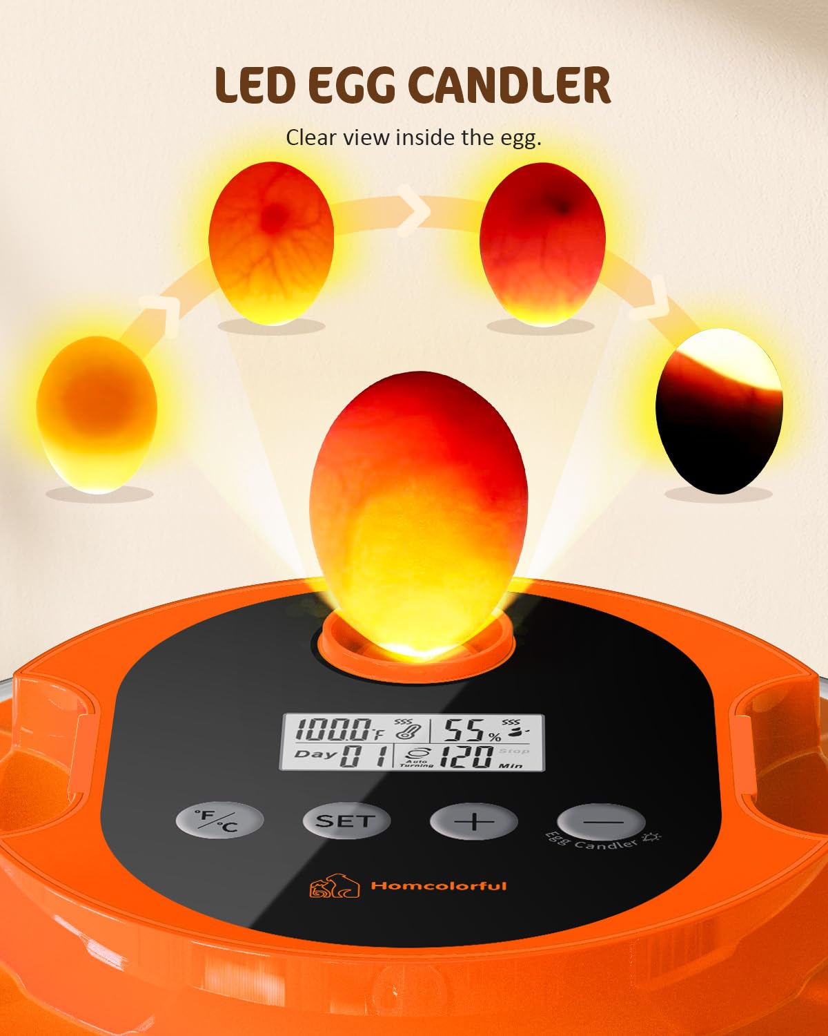 18 Egg Incubator with Automatic Turning & Humidity Control