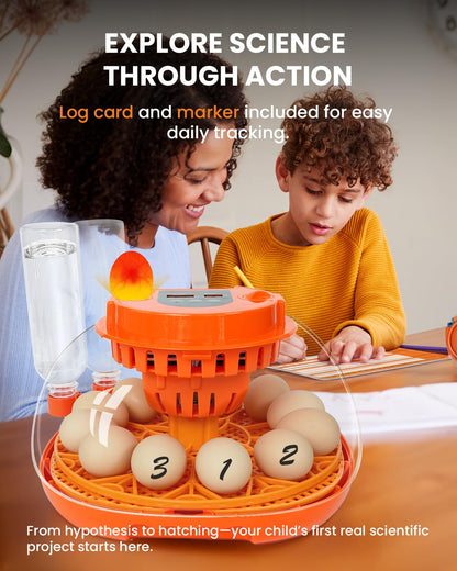 12 Egg Incubator with Automatic Turning & Humidity Control