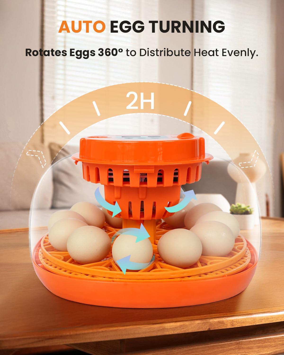 12 Egg Incubator with Automatic Turning & Humidity Control