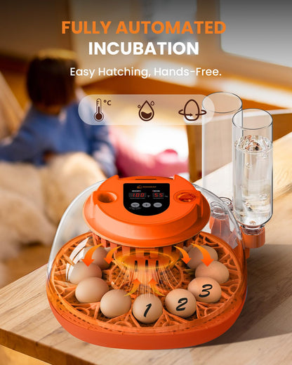 12 Egg Incubator with Automatic Turning & Humidity Control