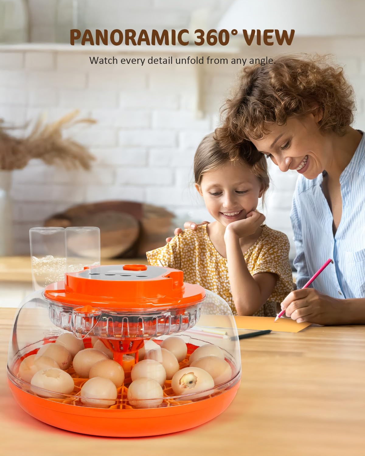 18 Egg Incubator with Automatic Turning & Humidity Control