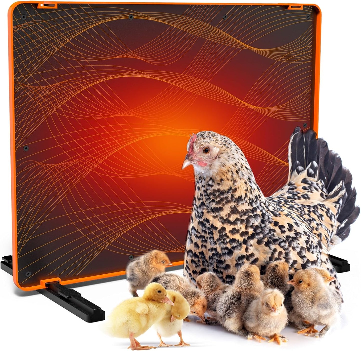 75W Brooder Heat Plate with Plate Timing & Temperature Regulation