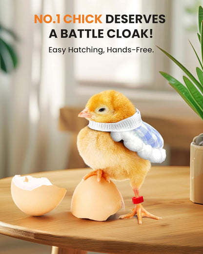 12 Egg Incubator with Automatic Turning & Humidity Control